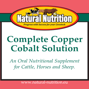 Complete Copper Cobalt Solution Dairy Cattle