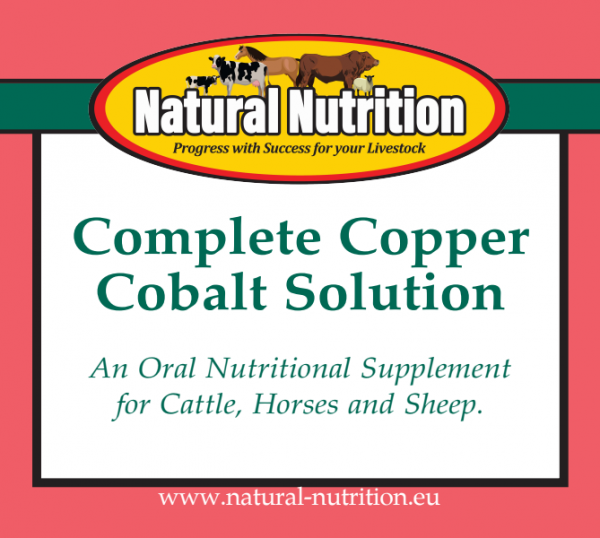 Complete Copper Cobalt Solution for Beef Cattle | Natural Nutrition