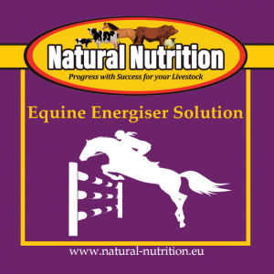 Equine Energiser