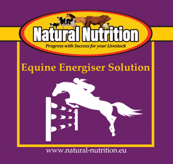 Equine Energiser