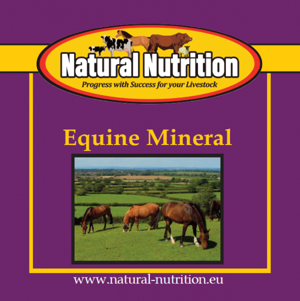 Equine Mineral