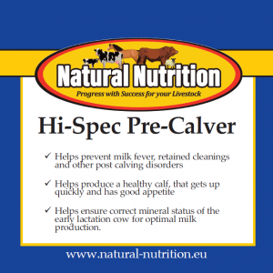 Hi-Spec Pre-Calver