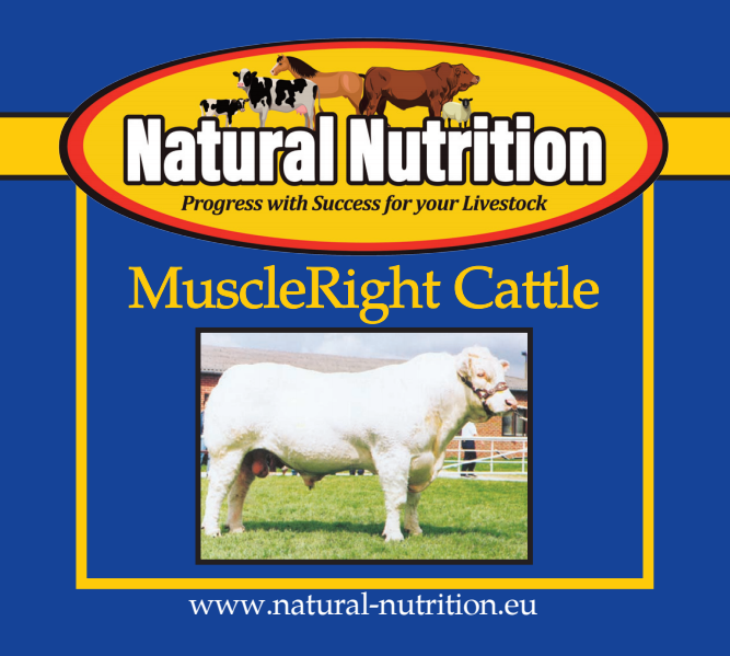 MuscleRight Cattle for Pedigree Cattle | Natural Nutrition
