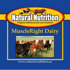 MuscleRight Dairy