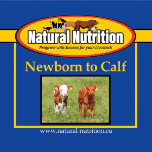 Newborn to Calf