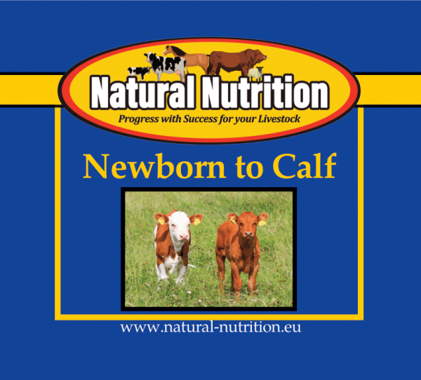 Newborn to Calf