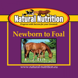 Newborn to Foal